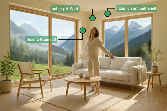 Gesunde Raumluft für Allergiker im Sommer: Warum Kalkwände Staub und Pollen weniger Angriffsfläche bieten