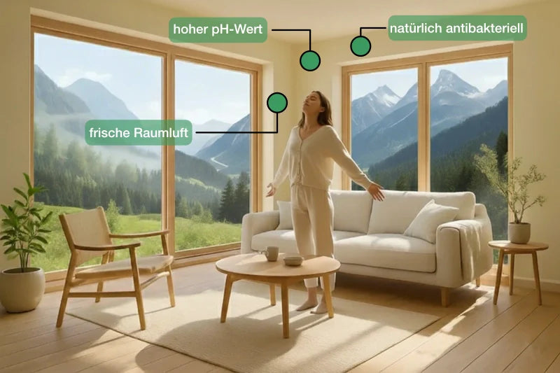 Gesunde Raumluft für Allergiker im Sommer: Warum Kalkwände Staub und Pollen weniger Angriffsfläche bieten