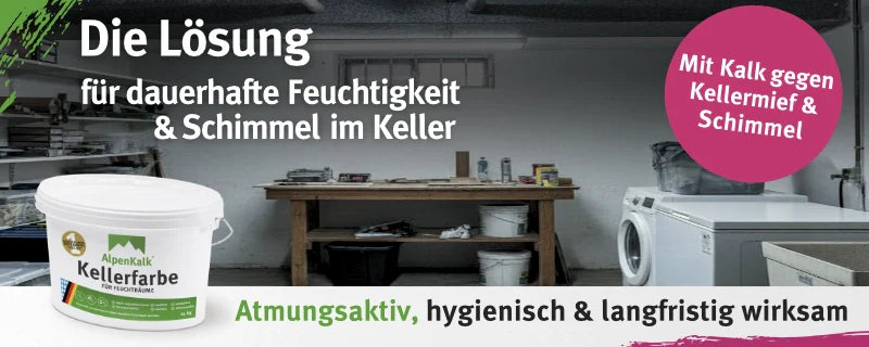 Kellerschimmel im Sommer: Warum falsches Lüften jetzt zur Feuchtefalle wird
