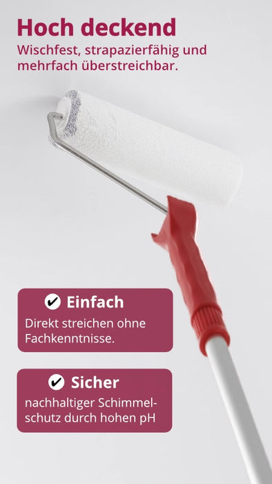 Anti-Schimmelfarbe - Kalkfarbe mit Anti-Schimmel-Formel  5l / ca. 35 m²