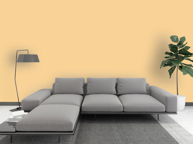 Kalkfarbe INNEN 6 kg Bernstein-Ocker (30 m²)