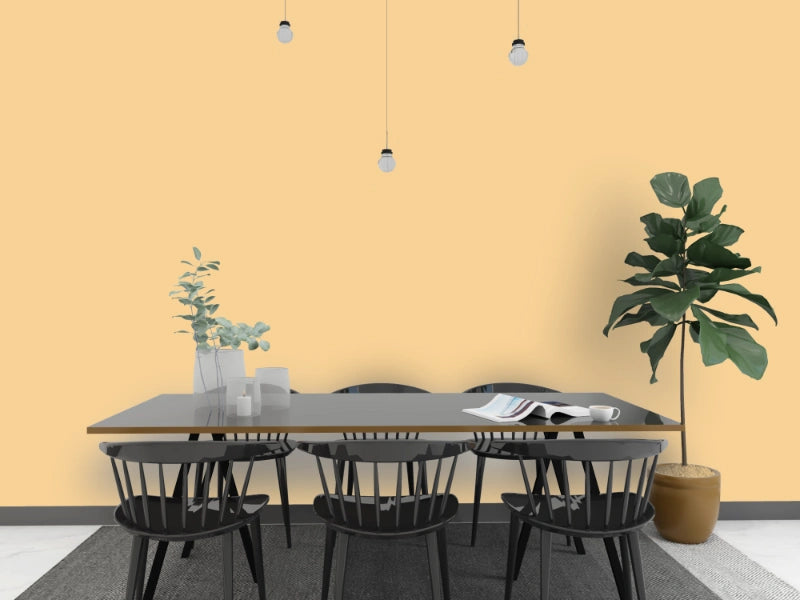 Kalkfarbe INNEN 6 kg Bernstein-Ocker (30 m²)