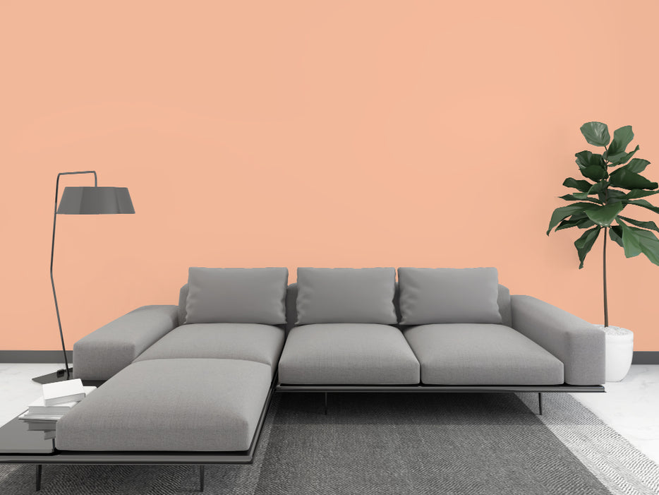 Kellerfarbe - Carneol-Terrakotta 6 kg  / ca. 35 m²