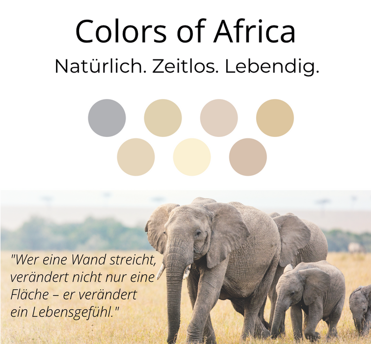 Kalkfarbe INNEN Steppen-Beige 6 kg (30 m²)