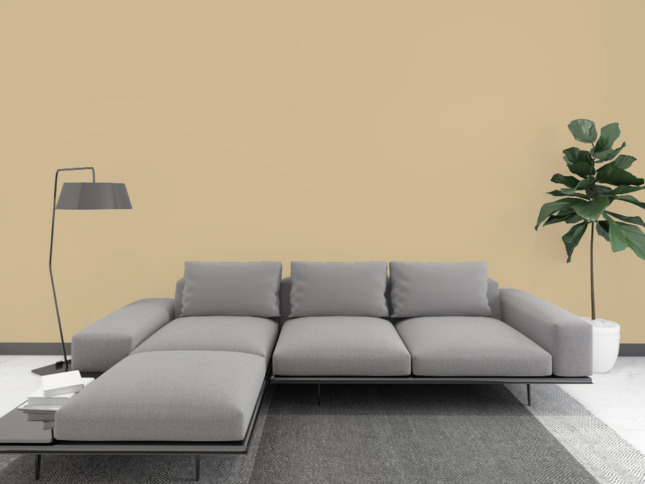 Kalkfarbe INNEN Gold-Gras 21 kg (100 m²)
