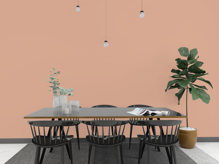 Kellerfarbe - Mookait-Braun 6 kg  / ca. 35 m²