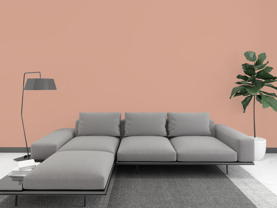 Kellerfarbe - Mookait-Braun 6 kg  / ca. 35 m²