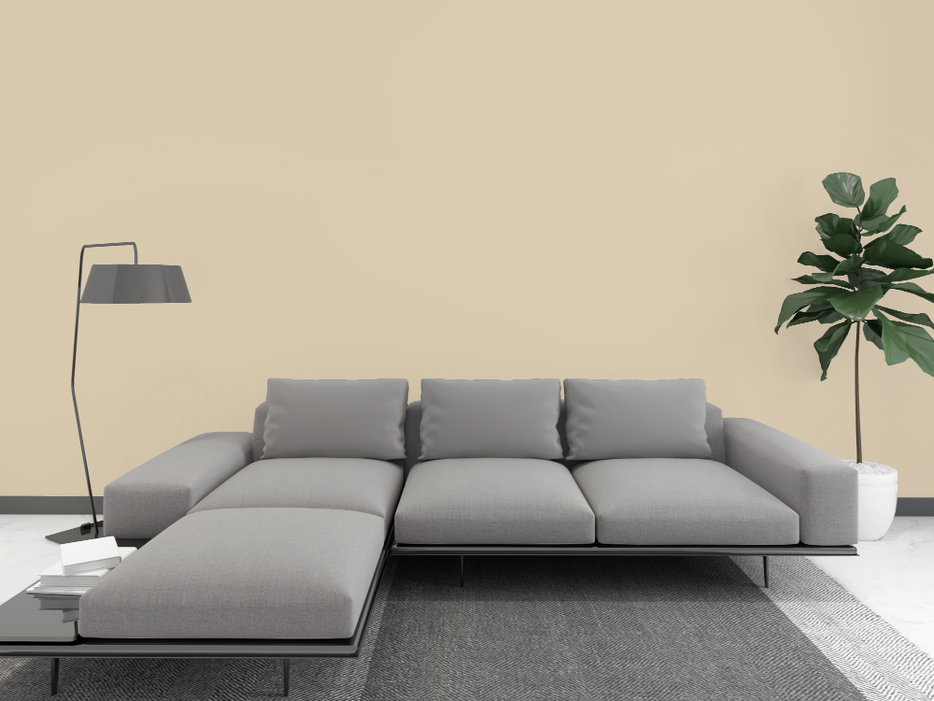 Kalkfarbe INNEN Steppen-Beige 6 kg (30 m²)
