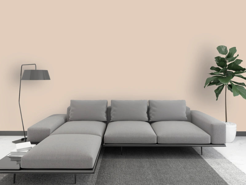 Kalkfarbe INNEN Wüstenschleier 6 kg (30 m²)