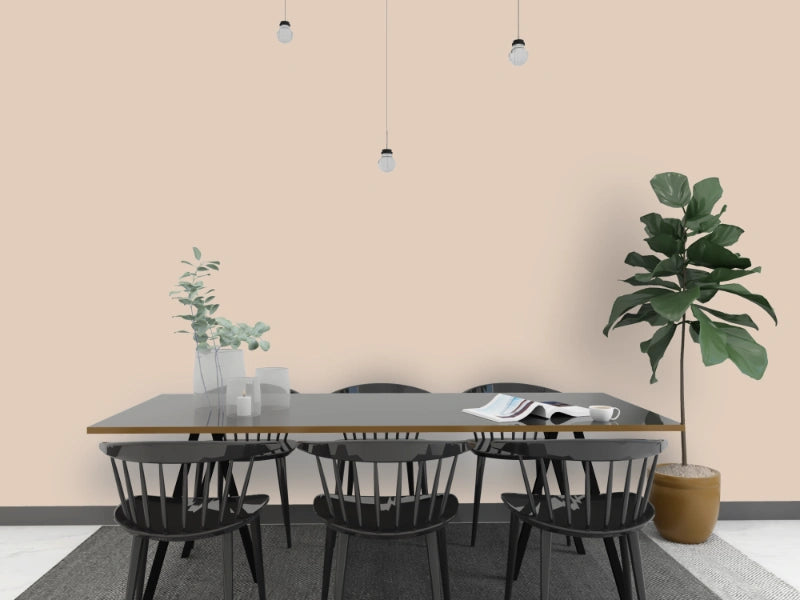 Kalkfarbe INNEN Wüstenschleier 6 kg (30 m²)