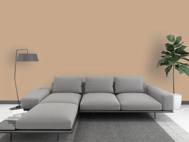 Kalkfarbe INNEN Kaschmir-Braun 14 kg (65 m²)